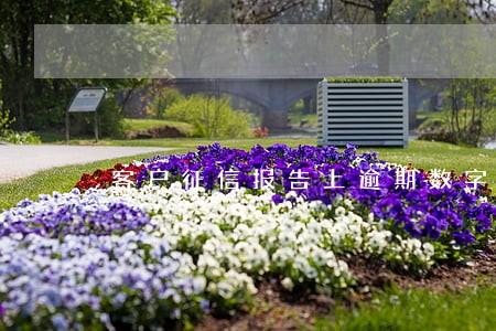 客户征信报告上逾期数字3 客户征信报告上逾期数字3