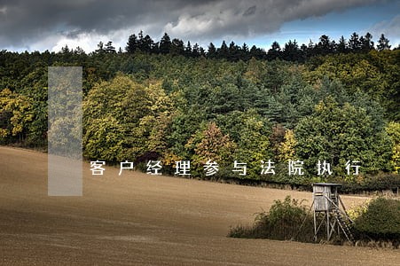 客户经理参与法院执行 客户经理参与法院执行