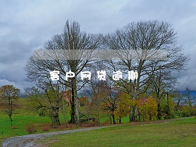 客户网贷逾期 客户网贷逾期