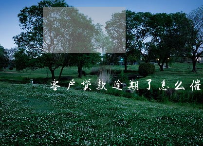 客户贷款逾期了怎么催收 客户贷款逾期了怎么催收