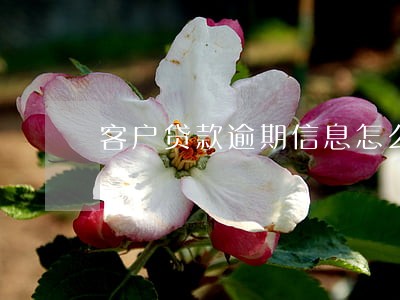 客户贷款逾期信息怎么写6 客户贷款逾期信息怎么写6
