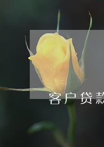 客户贷款逾期存在的问题 客户贷款逾期存在的问题