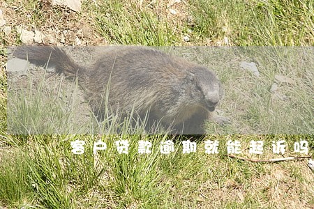 客户贷款逾期就能起诉吗