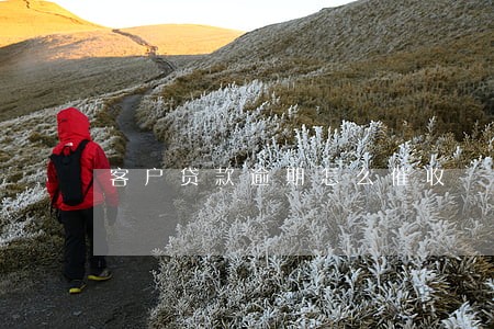 客户贷款逾期怎么催收 客户贷款逾期怎么催收