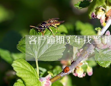 客户逾期3年找当事人