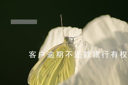 客户逾期不还款银行有权扣公积金 客户逾期不还款银行有权扣公积金