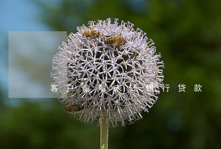 客户逾期未还银行贷款 客户逾期未还银行贷款