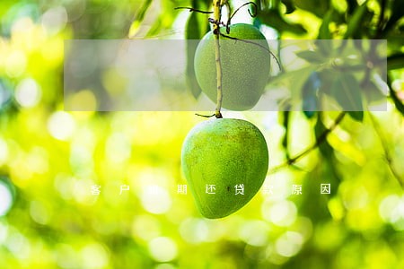客户逾期还贷款原因 客户逾期还贷款原因