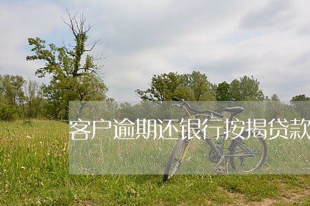 客户逾期还银行按揭贷款 客户逾期还银行按揭贷款
