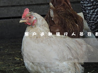 客户逾期银行人员罚款么 客户逾期银行人员罚款么