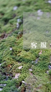 客服信用卡逾期 客服信用卡逾期