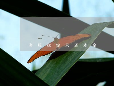 客服找你只还本金 客服找你只还本金