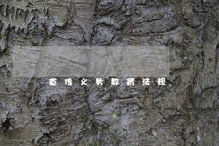 宣传义务教育法规 宣传义务教育法规
