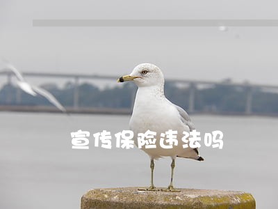 宣传保险违法吗 宣传保险违法吗