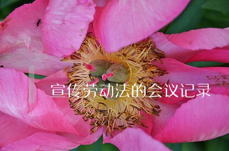 宣传劳动法的会议记录 宣传劳动法的会议记录