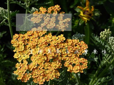宣传国安立法重要性 宣传国安立法重要性
