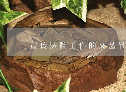 宣传法院工作的文艺节目 宣传法院工作的文艺节目