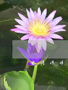 宣传涉嫌违法 宣传涉嫌违法