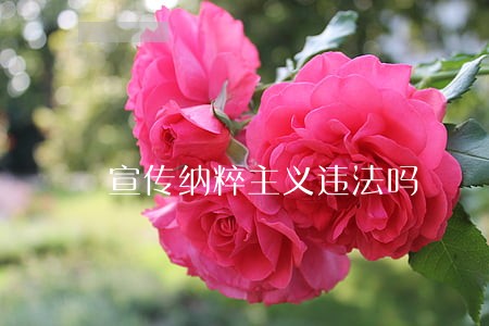 宣传纳粹主义违法吗 宣传纳粹主义违法吗