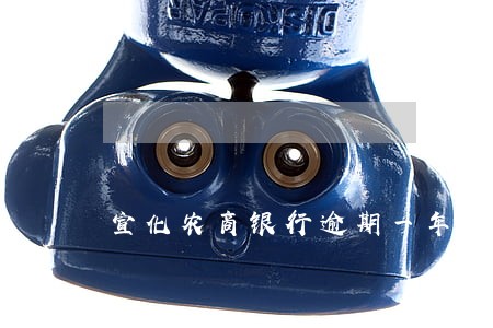 宣化农商银行逾期一年