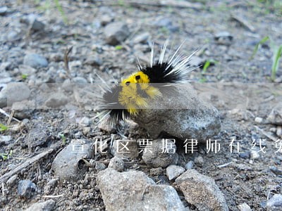 宣化区票据律师在线免费咨询 宣化区票据律师在线免费咨询