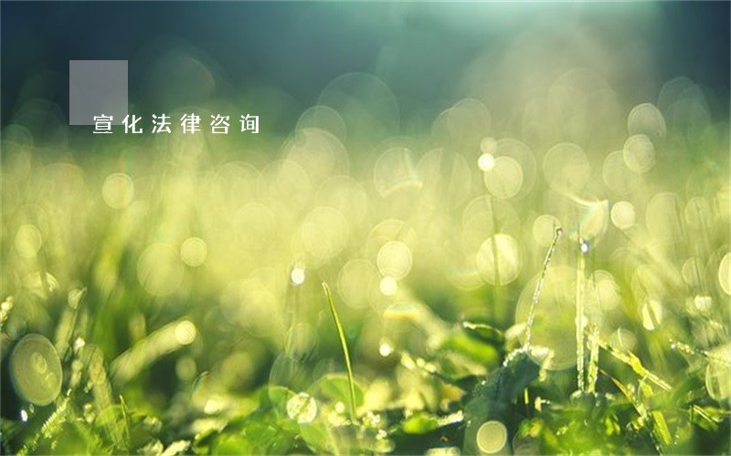 宣化法律咨询 宣化法律咨询