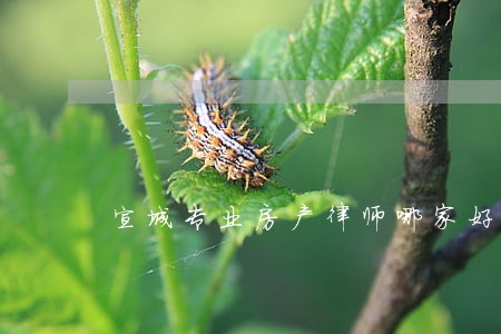 宣城专业房产律师哪家好 宣城专业房产律师哪家好