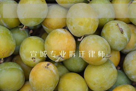 宣城专业拆迁律师 宣城专业拆迁律师