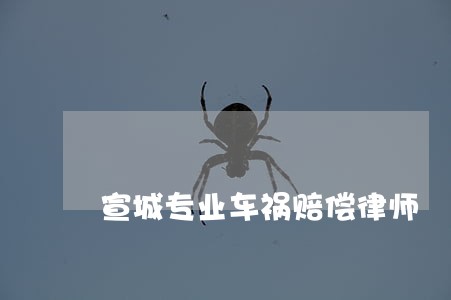 宣城专业车祸赔偿律师 宣城专业车祸赔偿律师