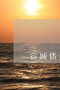 宣城债务案件律师 宣城债务案件律师