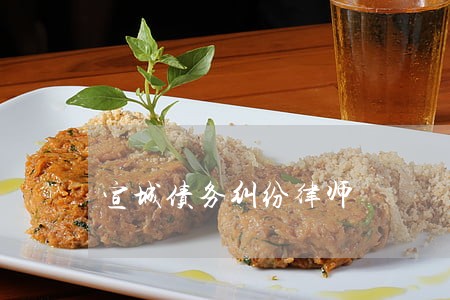 宣城债务纠纷律师 宣城债务纠纷律师