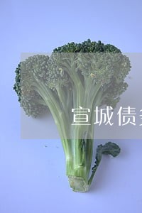 宣城债务追讨律师解答 宣城债务追讨律师解答