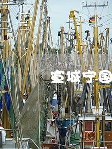 宣城宁国市司法局乡镇司法助理员 宣城宁国市司法局乡镇司法助理员