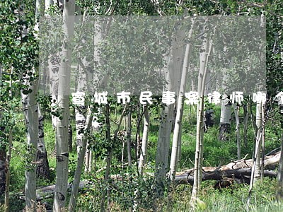 宣城市民事案律师哪个好 宣城市民事案律师哪个好