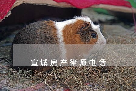 宣城房产律师电话 宣城房产律师电话