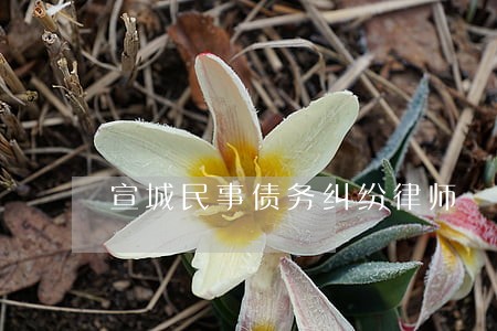 宣城民事债务纠纷律师 宣城民事债务纠纷律师
