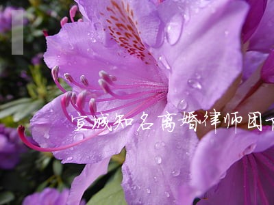 宣城知名离婚律师团队 宣城知名离婚律师团队