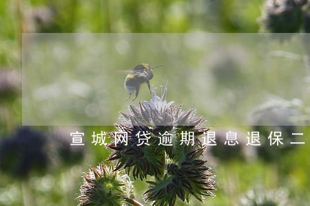 宣城网贷逾期退息退保二次分期 宣城网贷逾期退息退保二次分期