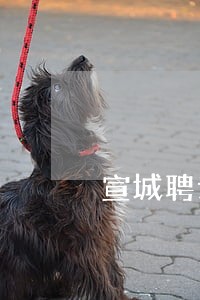 宣城聘请离婚财产律师 宣城聘请离婚财产律师