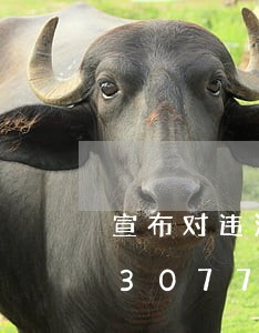 宣布对违法同志的处理决定/2023013077946 宣布对违法同志的处理决定/2023013077946