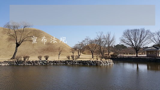 宣布法规 宣布法规