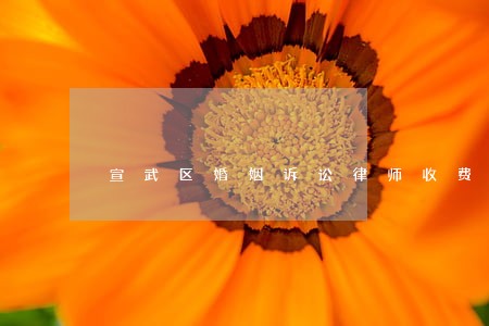 宣武区婚姻诉讼律师收费标准 宣武区婚姻诉讼律师收费标准