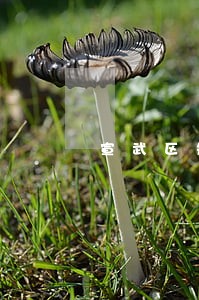 宣武区知名的离婚诉讼律师哪个好 宣武区知名的离婚诉讼律师哪个好
