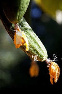 宣武区销售房产纠纷律师 宣武区销售房产纠纷律师