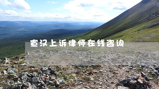 宣汉上诉律师在线咨询 宣汉上诉律师在线咨询