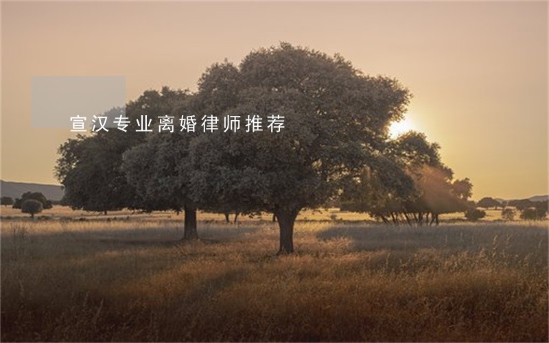 宣汉专业离婚律师推荐 宣汉专业离婚律师推荐