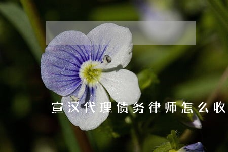 宣汉代理债务律师怎么收费 宣汉代理债务律师怎么收费