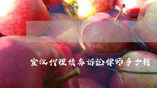宣汉代理债务诉讼律师多少钱 宣汉代理债务诉讼律师多少钱