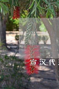宣汉代理婚姻律师价格 宣汉代理婚姻律师价格