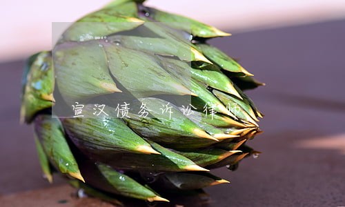 宣汉债务诉讼律师